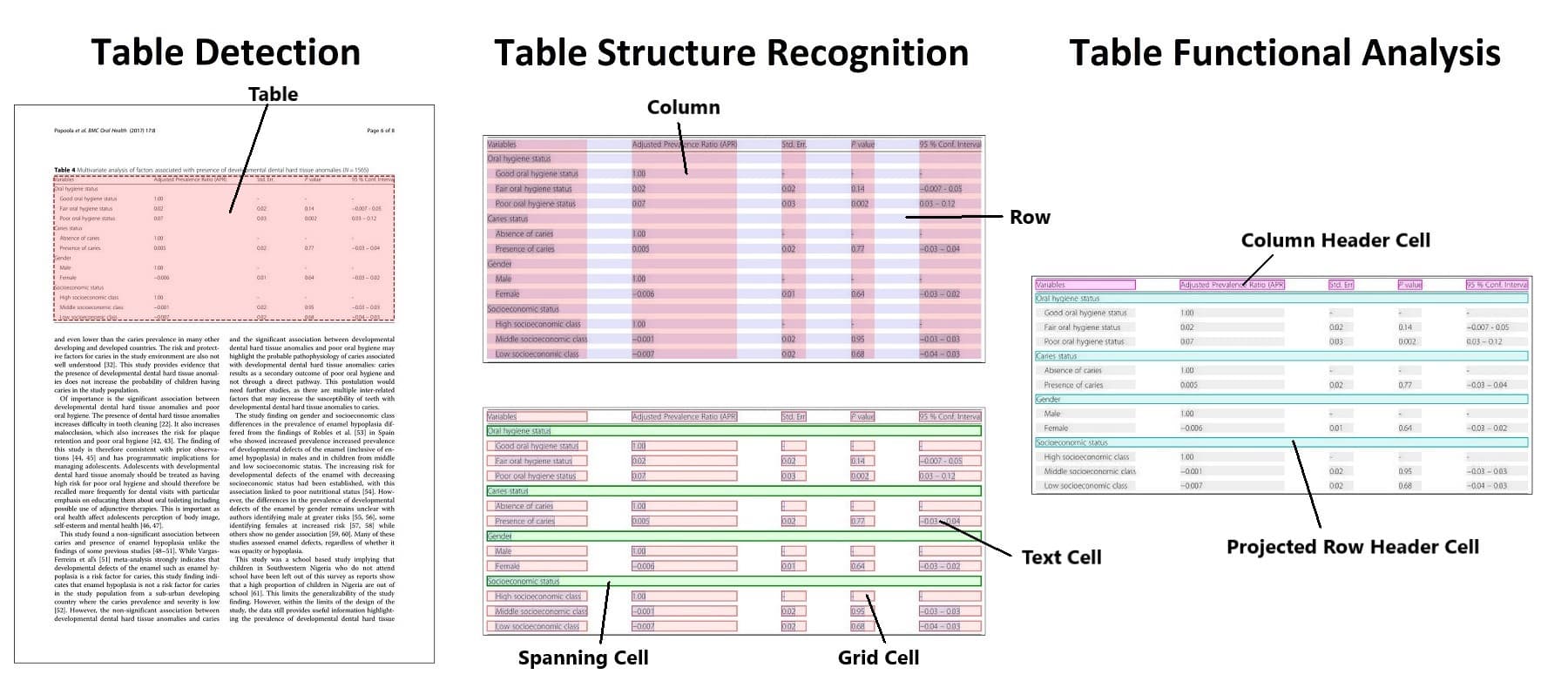 Data Extraction